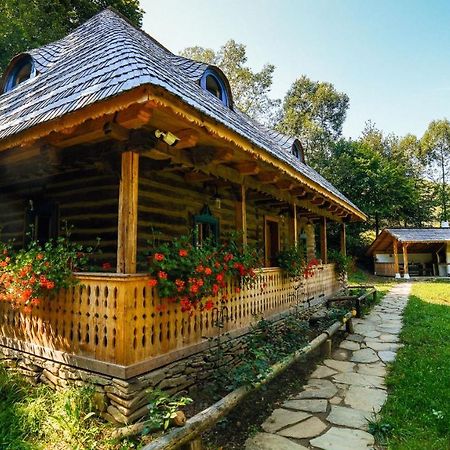 Vila Casa Lu' Ion Vişeu de Sus Exteriér fotografie