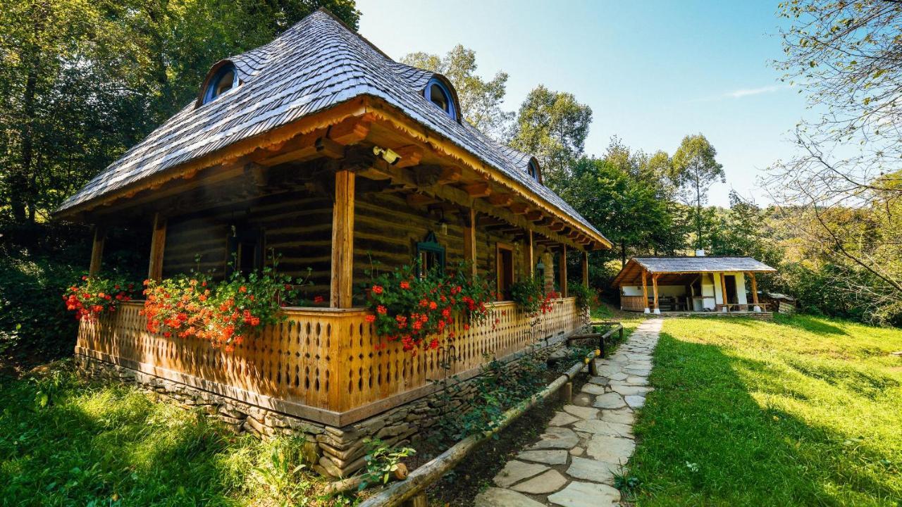 Vila Casa Lu' Ion Vişeu de Sus Exteriér fotografie
