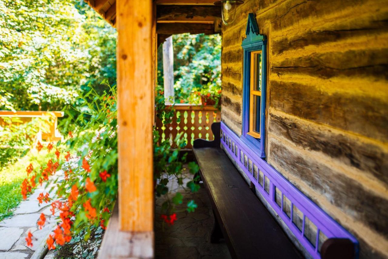 Vila Casa Lu' Ion Vişeu de Sus Exteriér fotografie