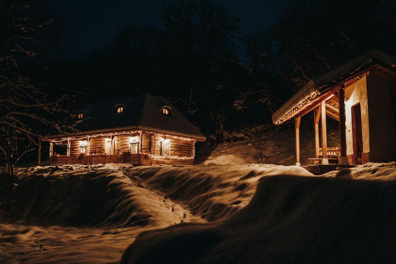 Vila Casa Lu' Ion Vişeu de Sus Exteriér fotografie