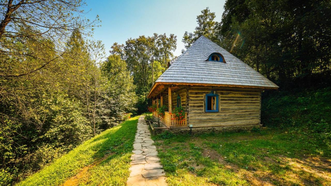 Vila Casa Lu' Ion Vişeu de Sus Exteriér fotografie
