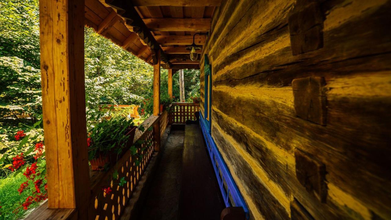Vila Casa Lu' Ion Vişeu de Sus Exteriér fotografie