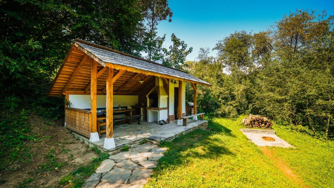 Vila Casa Lu' Ion Vişeu de Sus Exteriér fotografie