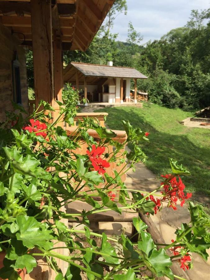 Vila Casa Lu' Ion Vişeu de Sus Exteriér fotografie