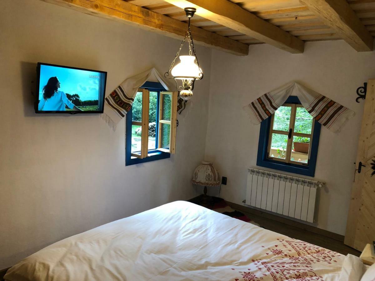 Vila Casa Lu' Ion Vişeu de Sus Exteriér fotografie